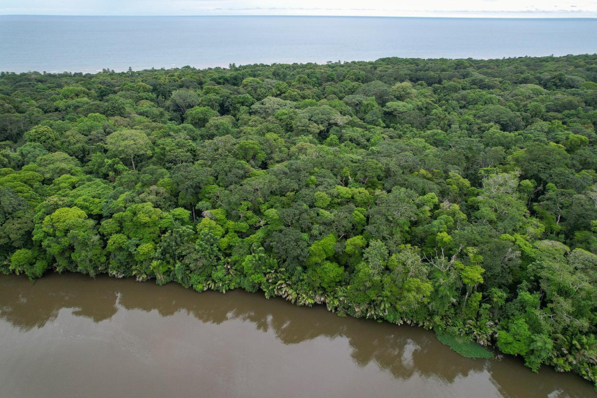 El Deseo Serendipity Tortuguero Exterior foto