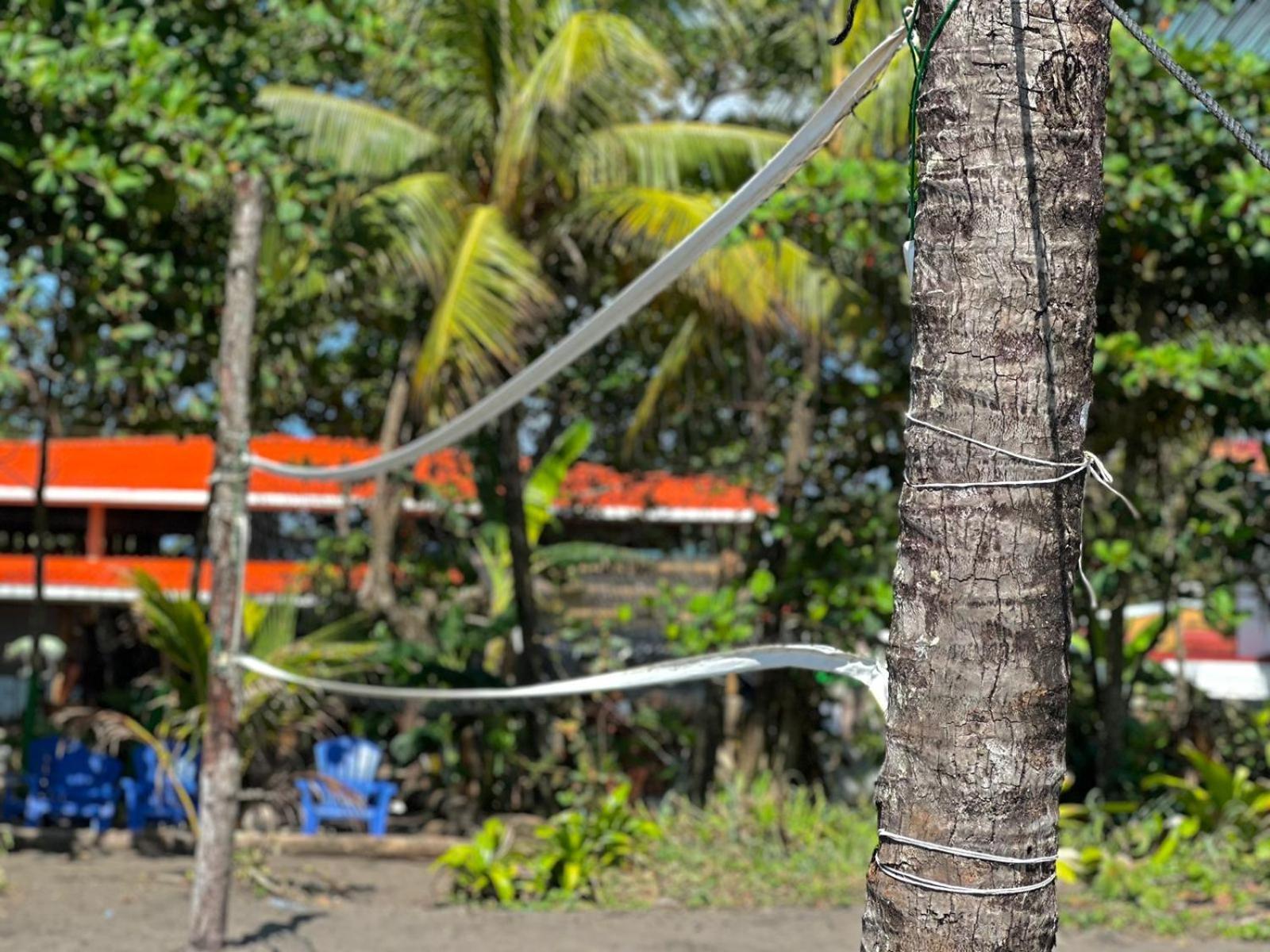 El Deseo Serendipity Tortuguero Exterior foto