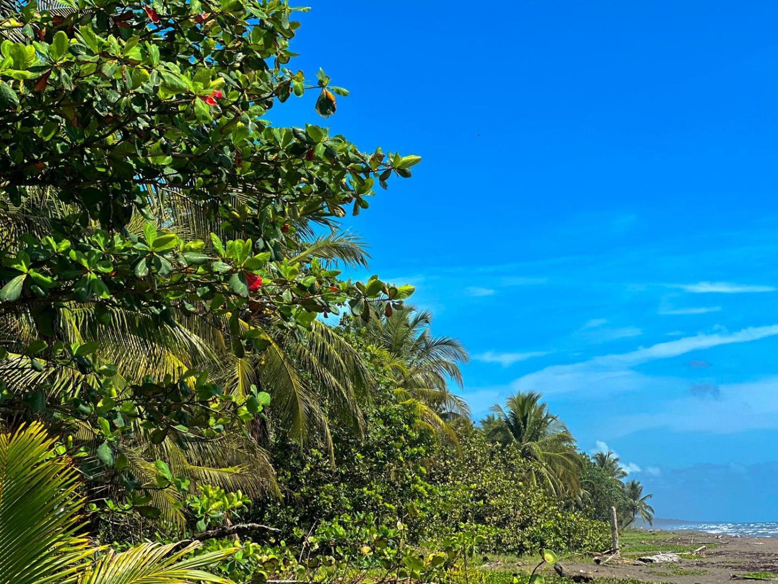 El Deseo Serendipity Tortuguero Exterior foto